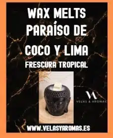 Wax Melts Paraíso De Coco Y Lima