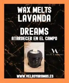 Wax Melts Lavanda Dreams