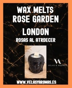 Wax Melts Rose Garden London