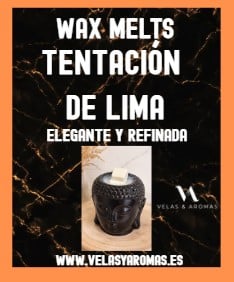 Wax Melts Tentación De Lima