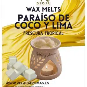 Wax Melts Paraíso De Coco Y Lima