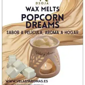 Wax Melts Pop Corn Dreams