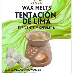 Wax Melts Tentación De Lima